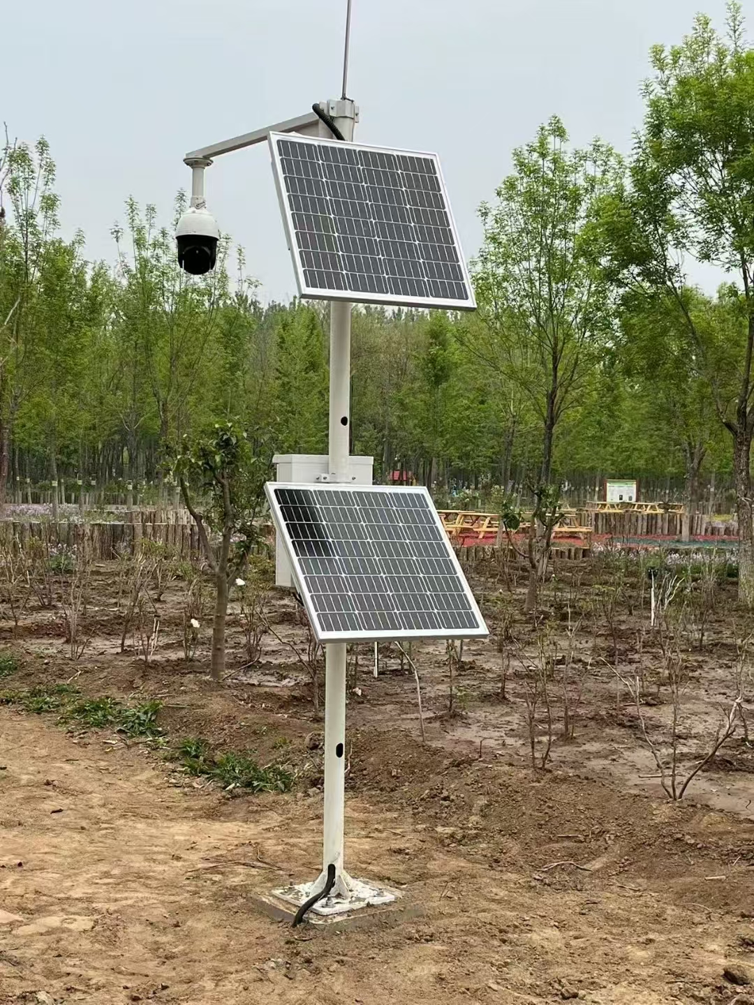 “一識多感”生物多樣性監(jiān)測系統(tǒng)