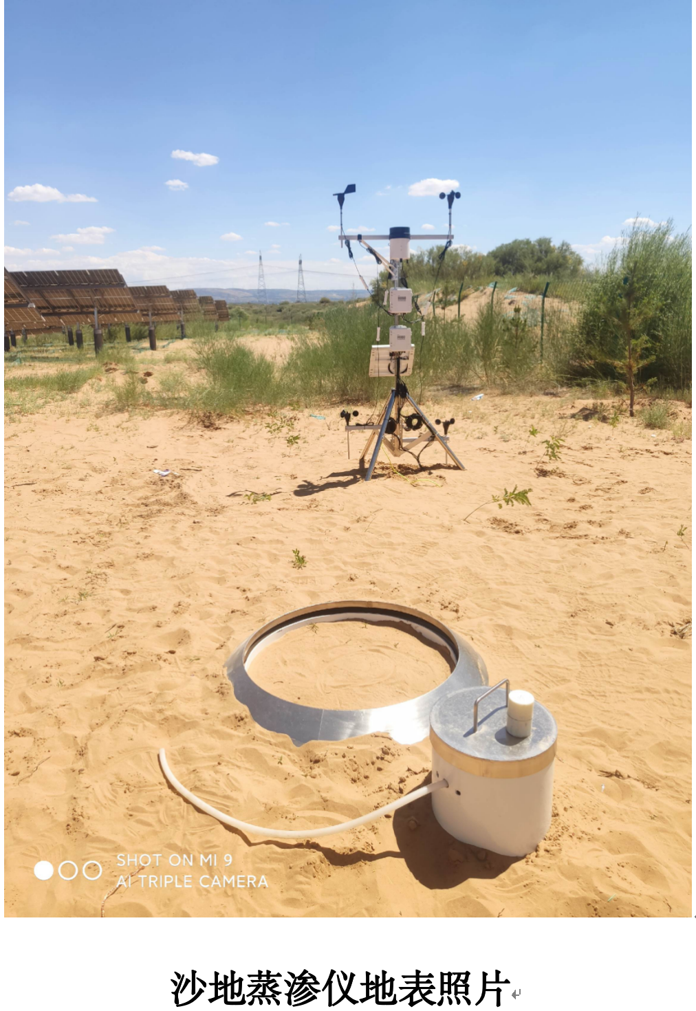 直稱式小型蒸滲儀(圖2)