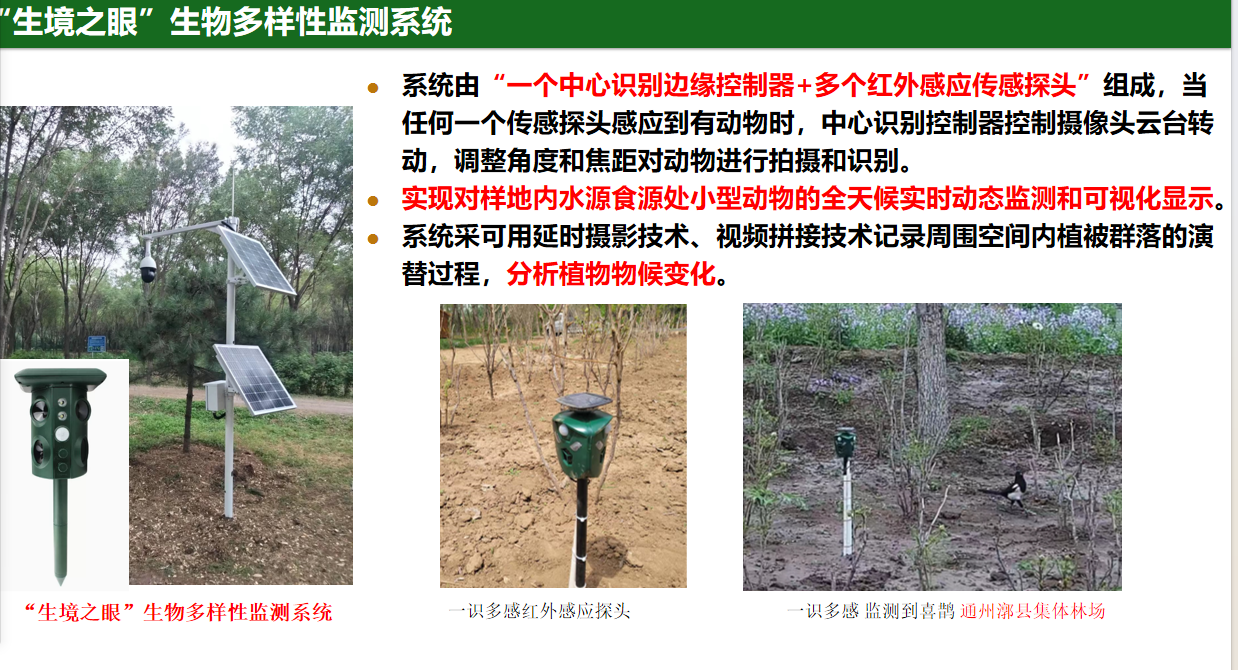 “一識(shí)多感”生物多樣性監(jiān)測(cè)系統(tǒng)(圖1)