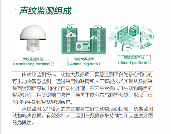 聲紋監(jiān)測(cè)系統(tǒng)(圖1)